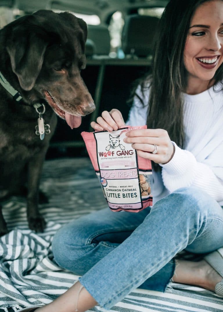 Saturday Adventures with Land Rover Cary Pretty in the Pines, North