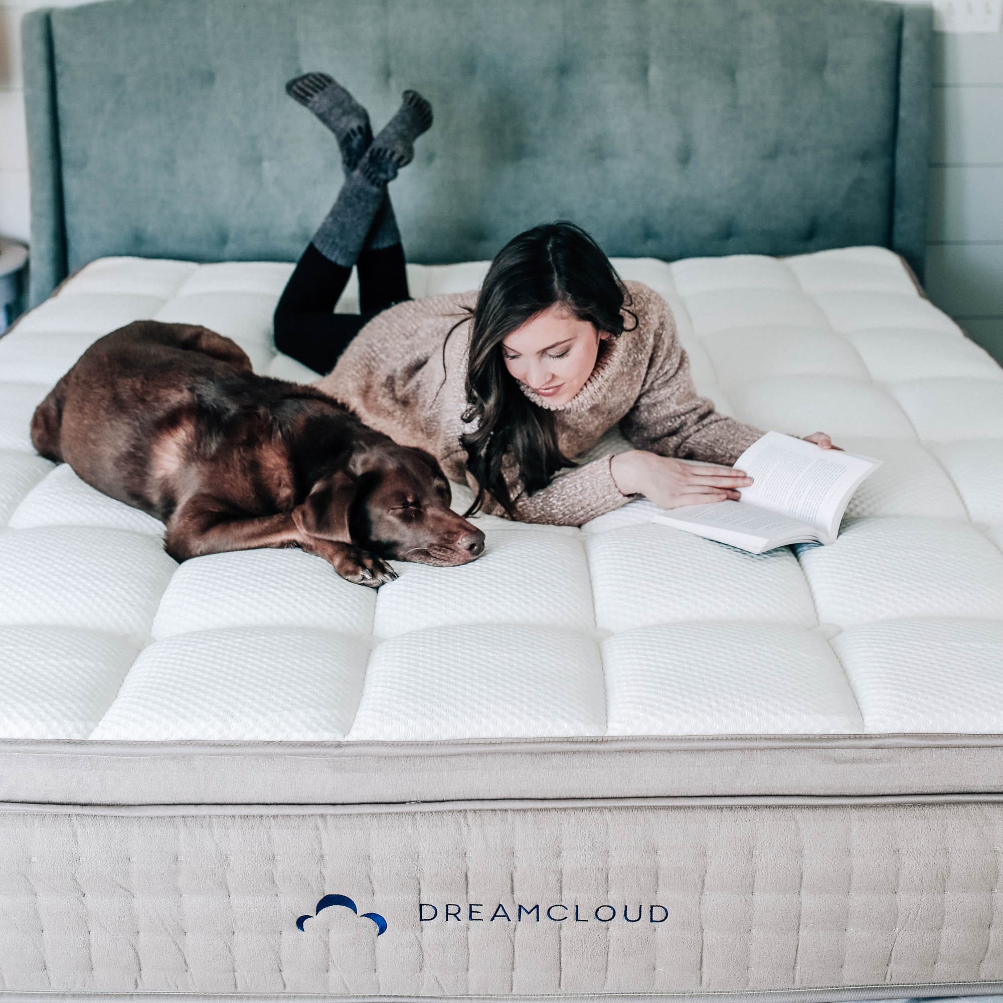 dreamcloud mattress near me