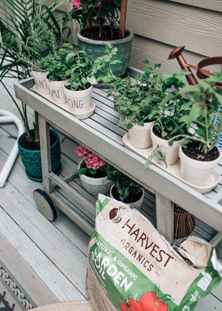 Summer Herb Outdoor Bar Serving Cart with Harvest Organics
