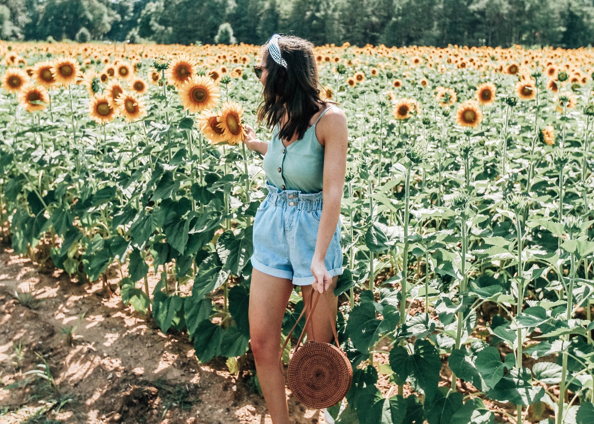 Chatting Sales And Raleigh Sunflowers Pretty In The Pines New York City Lifestyle Blog