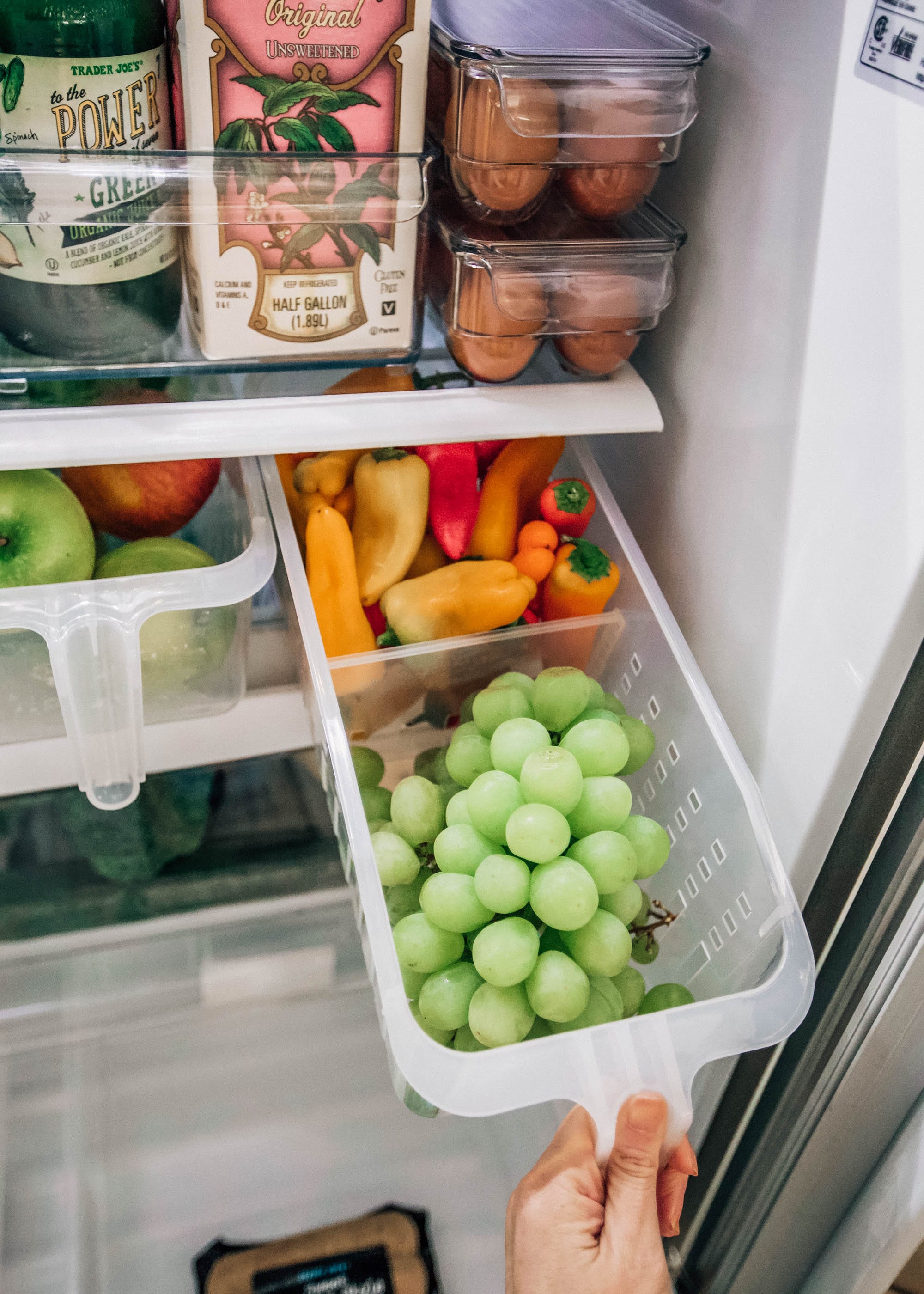 Organizing Our Fridge - Pretty in the Pines, New York City