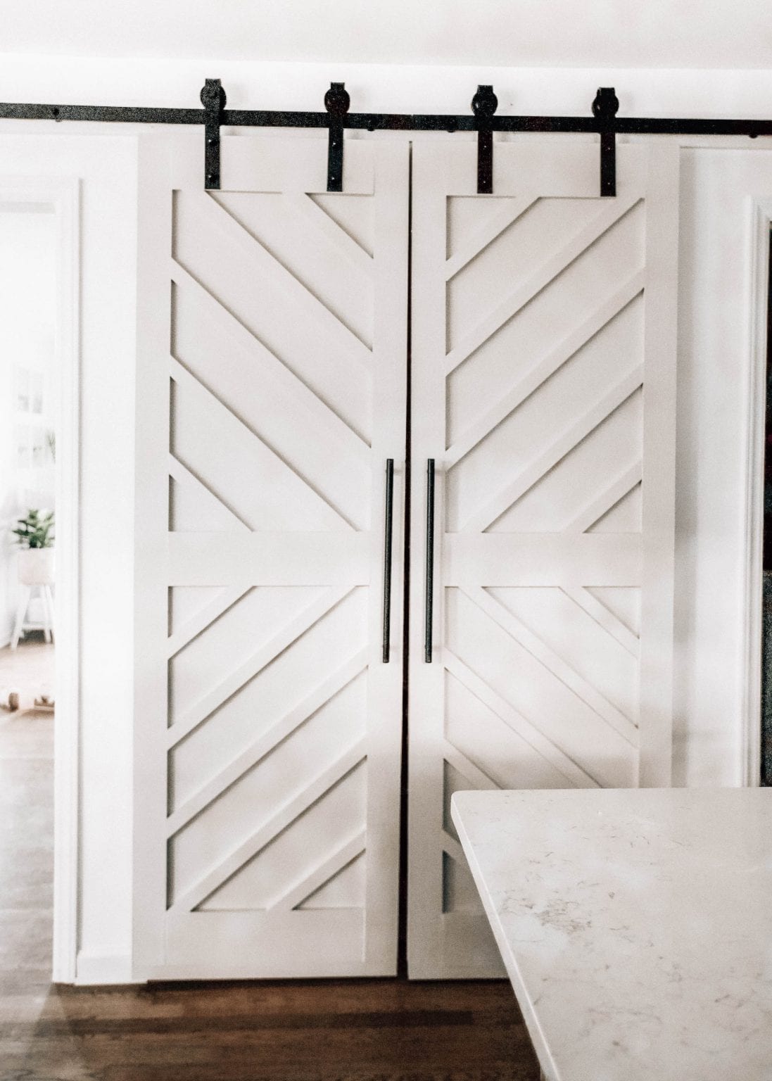 DIY Pantry Double Barn Doors - Pretty in the Pines, New York City