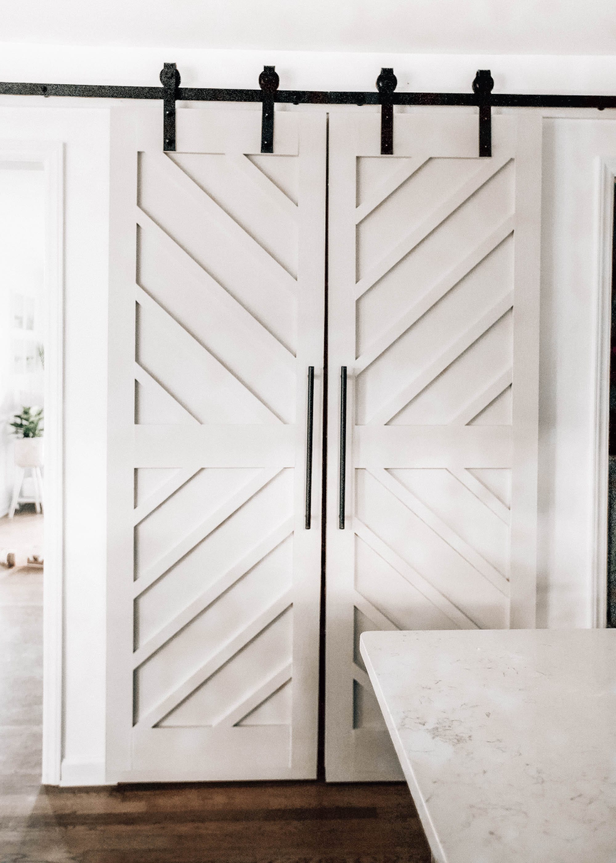 Diy Pantry Double Barn Doors Pretty In The Pines North Carolina