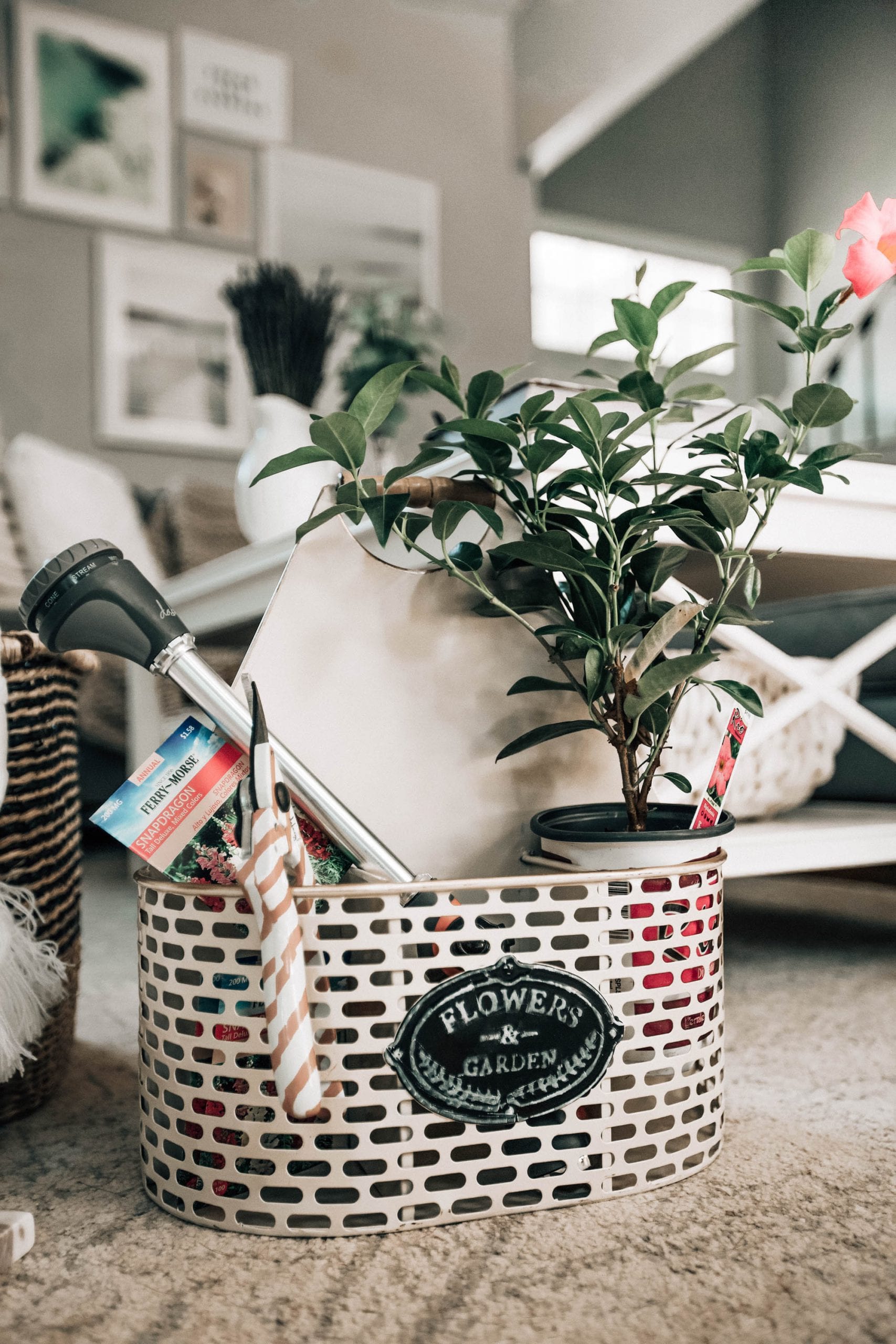 Housewarming Gift Basket Ideas Pretty in the Pines, New York City