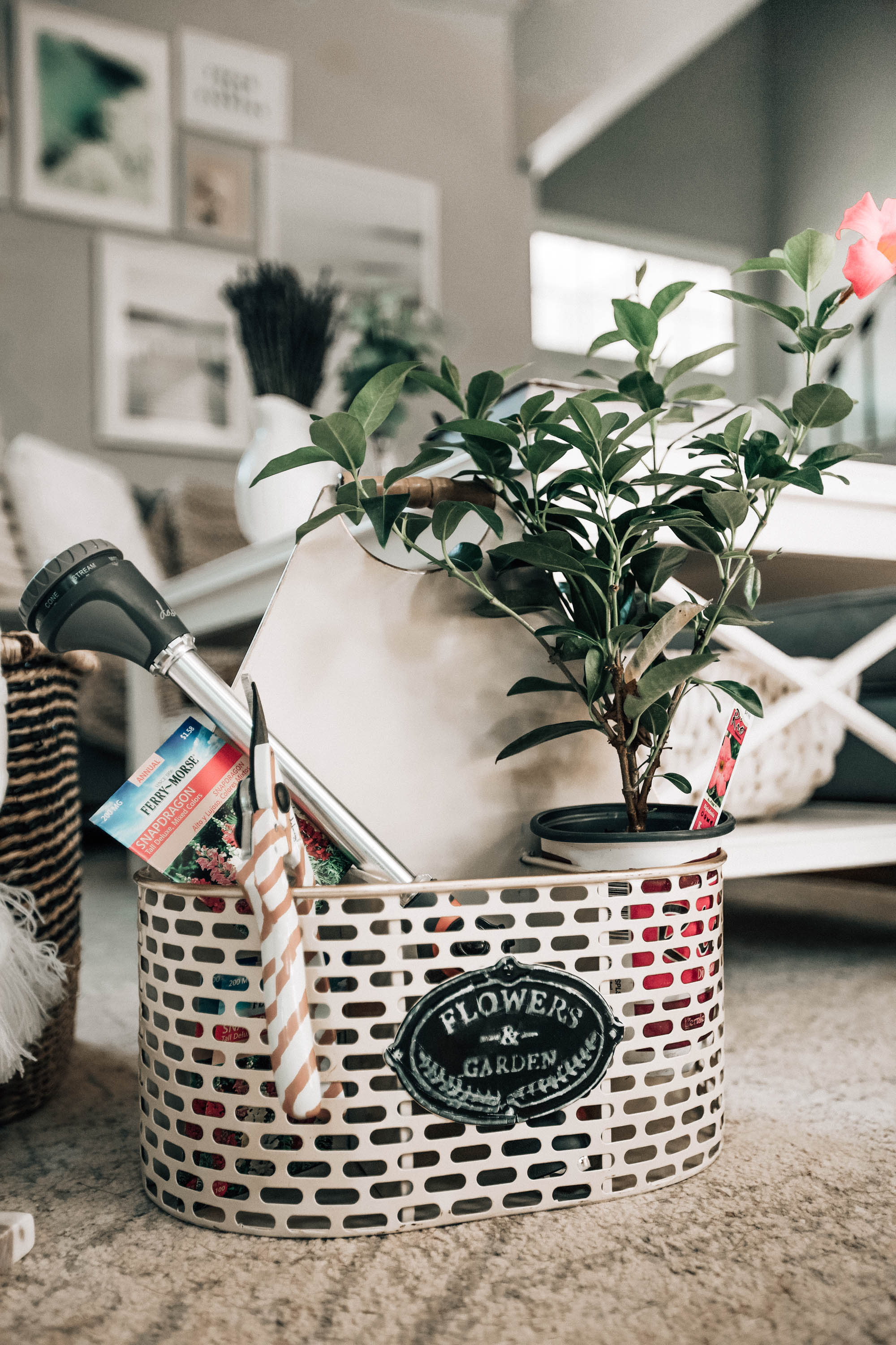 Housewarming Gift Basket Ideas - Pretty in the Pines ...