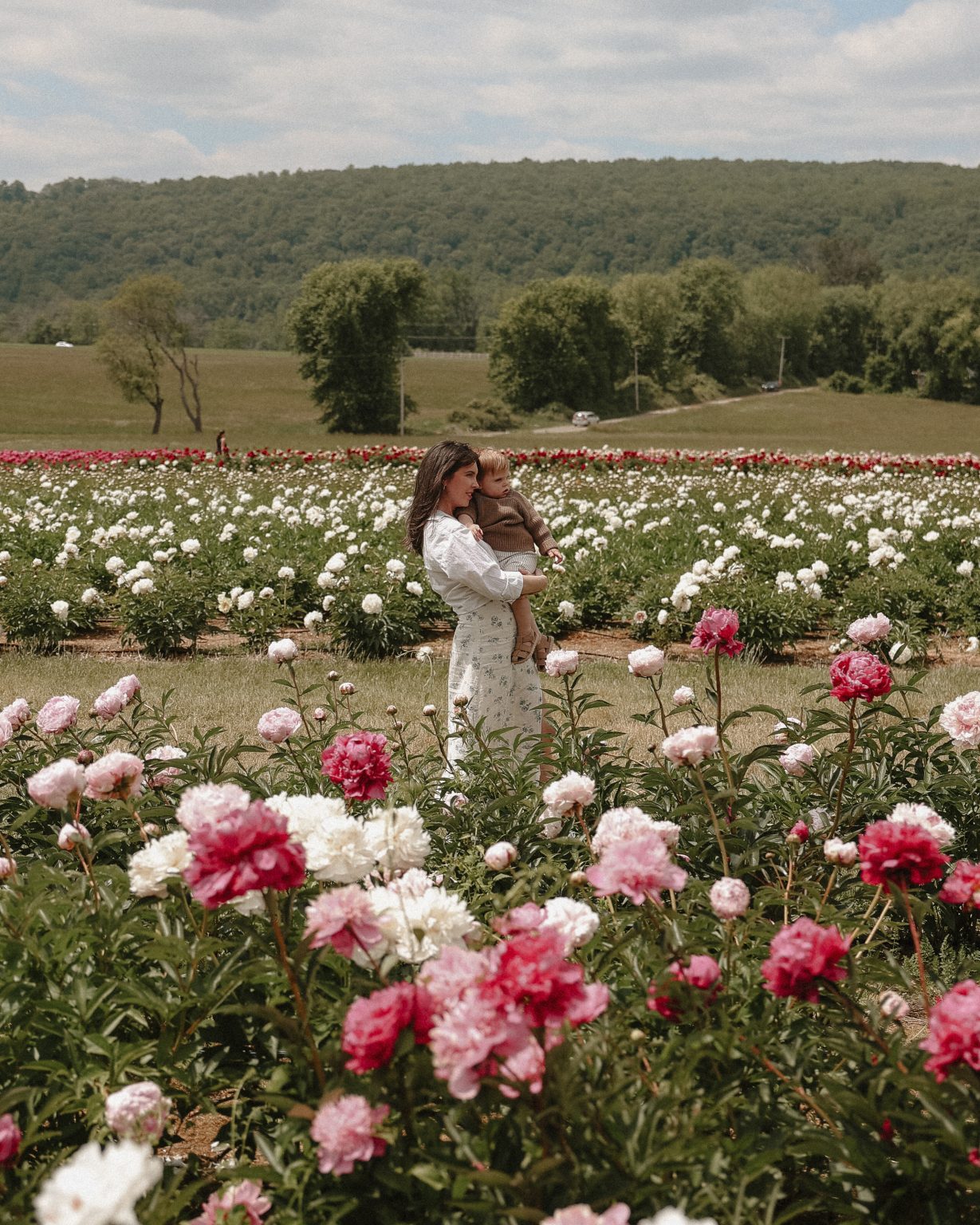 Flower Farms Outside Of The City - Pretty In The Pines, New York City ...